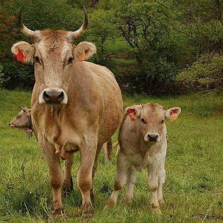 Rural Per A 2 - Pardines
